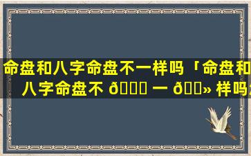 命盘和八字命盘不一样吗「命盘和八字命盘不 🐘 一 🌻 样吗怎么办」